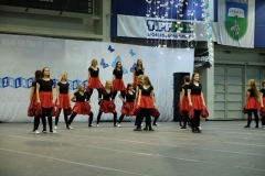 DSCF0606