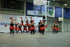 DSCF0608