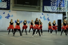DSCF0613