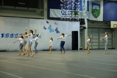DSCF0810