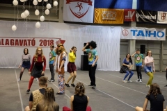 DSCF0367