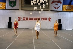 DSCF0509