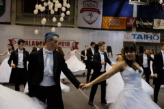 DSCF0584