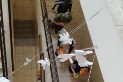 IMG_20230504_094215