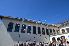 Ballagas_2026_252