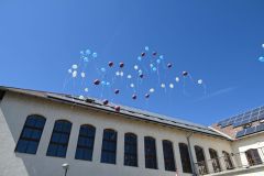 Ballagas_2026_253