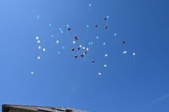 Ballagas_2026_254