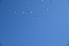 Ballagas_2026_261