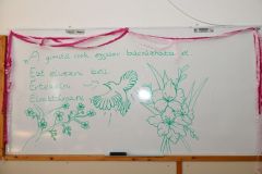 Ballagas_2026_300
