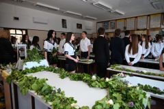 Ballagas_2026_49
