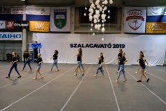 DSCF8984