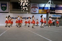 DSCF9217