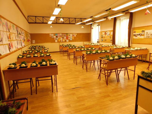 DSCN2102