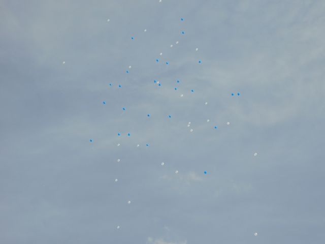 DSCN2822