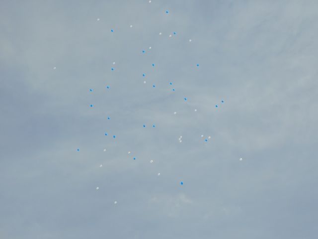 DSCN2823