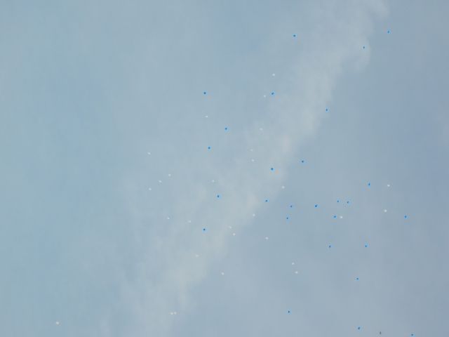 DSCN2853