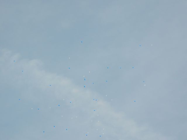 DSCN2855