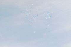 DSCN2817