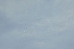 DSCN2823
