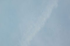 DSCN2853
