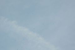 DSCN2855