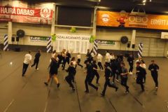 DSCN6571