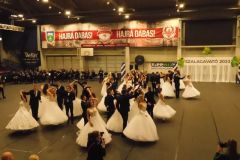 DSCN6687