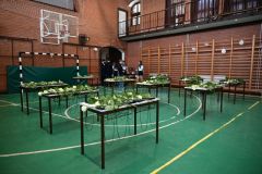 Ballagas_2025_025
