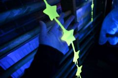 Neon-Roplabda-Est_2025_50
