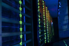 Neon-Roplabda-Est_2025_51